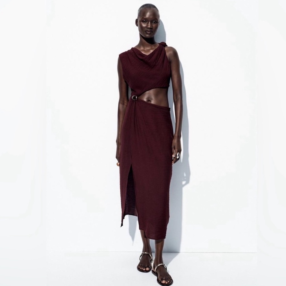 Zara Cut out dress NWT